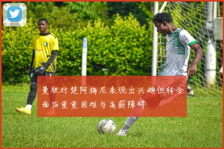 曼联对楚阿梅尼表现出兴趣但转会面临重重困难与高薪障碍